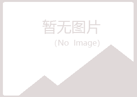 山西夏槐能源有限公司